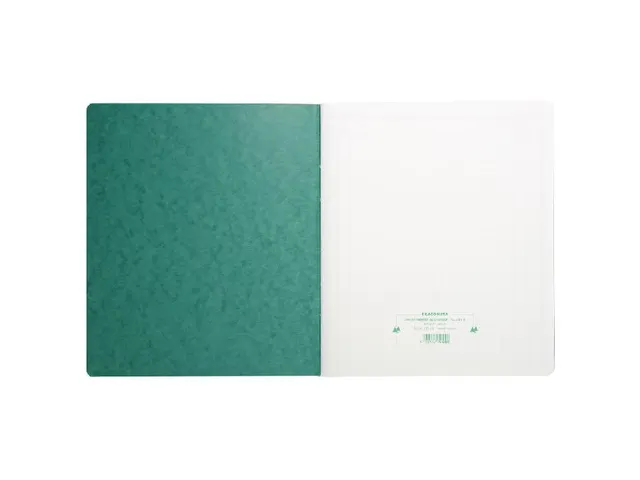Piqure32x27 du courrier 80 bl