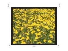 Optoma DS-3120PMG+ projectiescherm 4:3 120 Inch