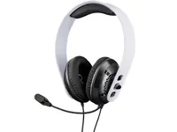 Raptor Gaming headset