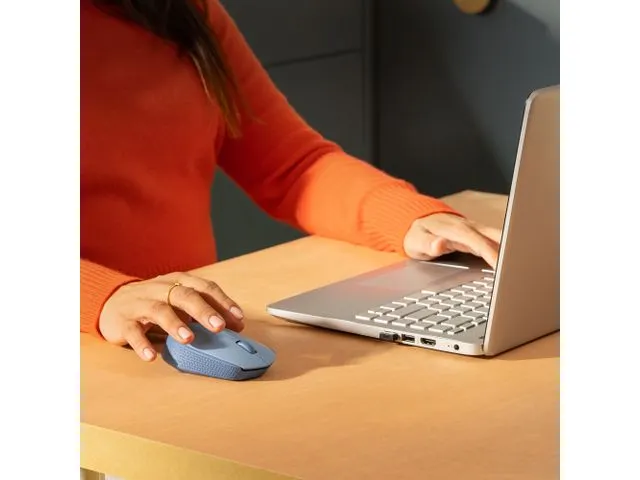 Logitech M171 draadloze muis Blauwgrijs Optisch Ambidextrous