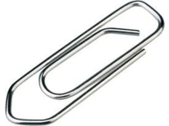 Paperclips Klein 25mm Staal 100 Stuks