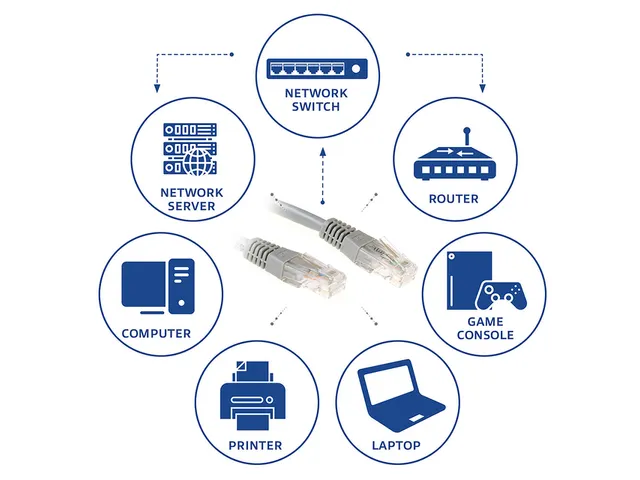 Kabel ACT U/UTP CAT6 patchkabel RJ45 Grijs 20 meter