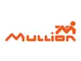 Mullion logo