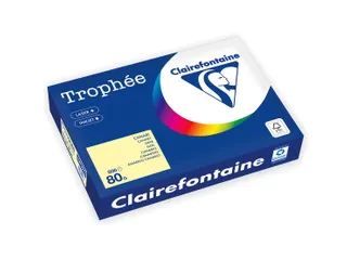 Trophée Pastel gekleurd papier A4 80 gram 500vel Kanariegeel - 2