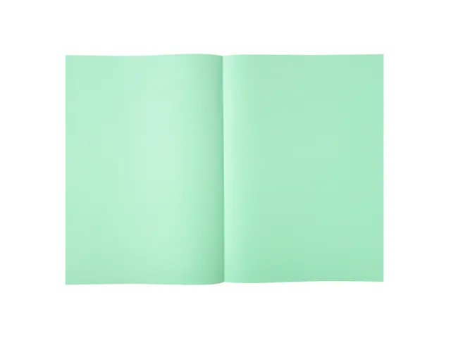 Pak van 250 inlegmappen SUPER 60 22x31cm Lichtgroen