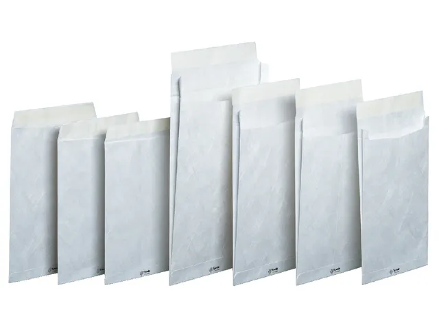Envelop Tyvek monsterzak EB4 262x371x38mm 75gr wit doos à 100 stuks