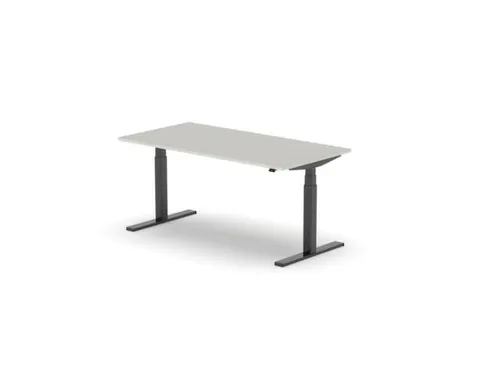 Elektrisch ihv bureau,HxBxD 650-1310x1600x800mm,blad lichtgrijs
