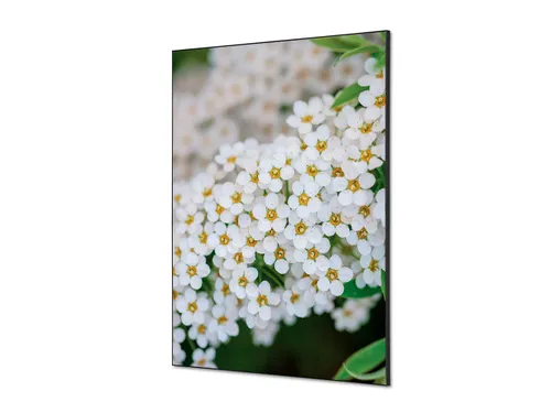 Wanddecoratie Textiel Set A1 Witte Bloem Spirea