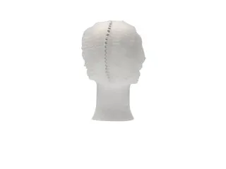 Haarnet Pp Non Woven Clip Cap Wit 53cm maat L 2-elastiek Detectable 10 - 3