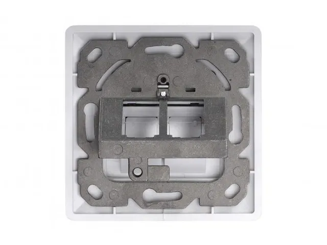Frontplaat voor Keystone Jacks 2x RJ45 stofkap 80x80 + centrale plaat