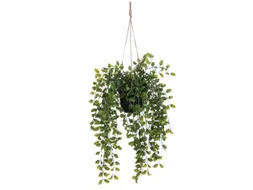 Kunstplant Mica Ficus hangend in pot groen 20x46cm