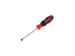 R38105519 2C schroevendraaier sleuf 5,5mm 1x100mm