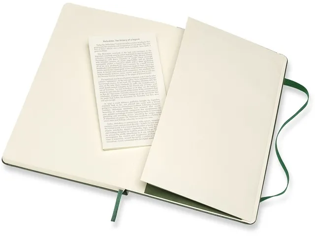 Carnet de notes Moleskine XL 130x210mm ligné vert myrte