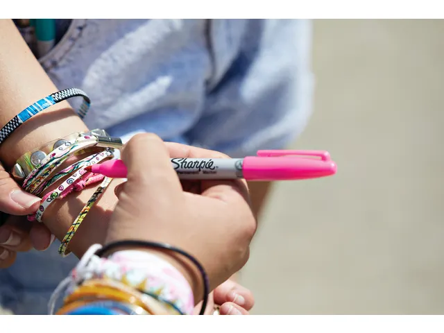 Marqueur permanent Sharpie Fin blister 12 couleurs assorties