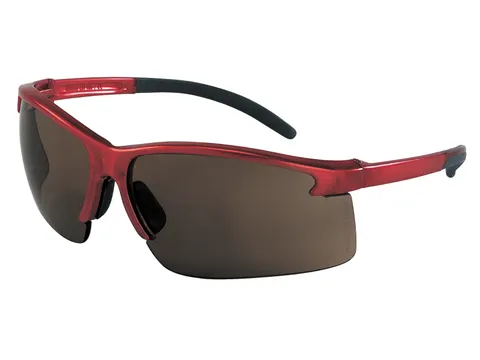 MSA Perspecta 1900 veiligheidsbril