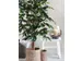 Kunstplant Mica Ficus groen in pot 85x150cm