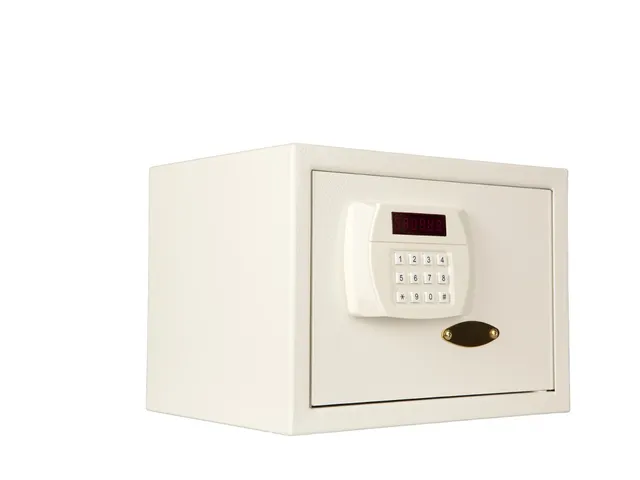 Saga Hotelsafe D 25mos
