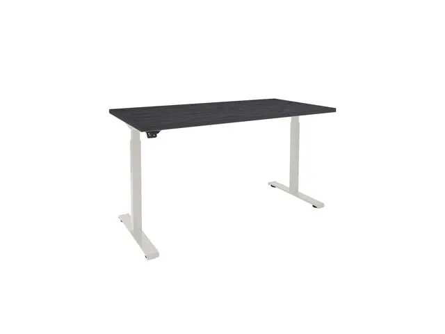 Elektrisch Verstelbaar Bureau 2 Motoren 160x80cm Frame Wit Blad Zwart