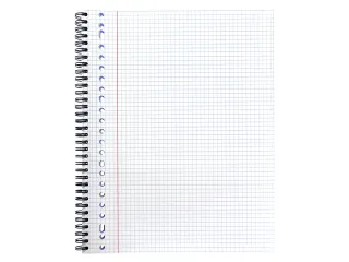 Collegeblok Multo A4 ruit 5mm 23gaats 160pagina's 90gram - 10