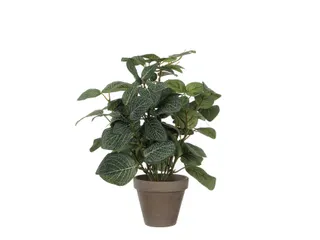 Kunstplant Mica Pilea in pot Ø11,5cm 35x25cm - 2