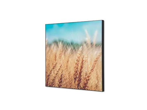 Wanddecoratie Textiel Set 40x40mm Graanveld