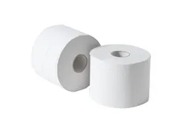 Compact Toiletrol 2-laags 100 Meter 500 Vel Wit