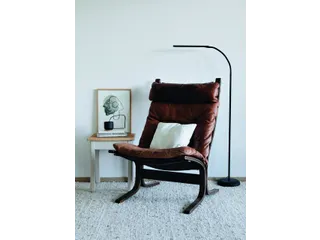 Vloerlamp MAUL Pirro LED dimbaar zwart - 3