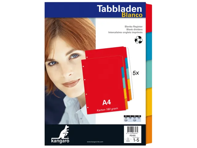 Intercalaire Kangaro PE405 A4 4 perforations 5 onglets carton assorti