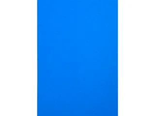 Pk 100Vl Forever Fra Nce Blauw A4 270G - 2