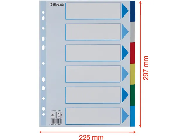 Esselte Tabbladen 6 Tabs