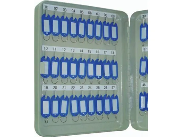 Sleutelkast Voor 54 Sleutelhangers Grijs Inclusief 2 Sleutels