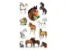 papieretiket Z-design Kids pakje a 2 vel paarden