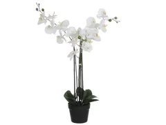 Kunstplant Mica Phalaenopsis orchidee wit in plastic pot 79x51cm