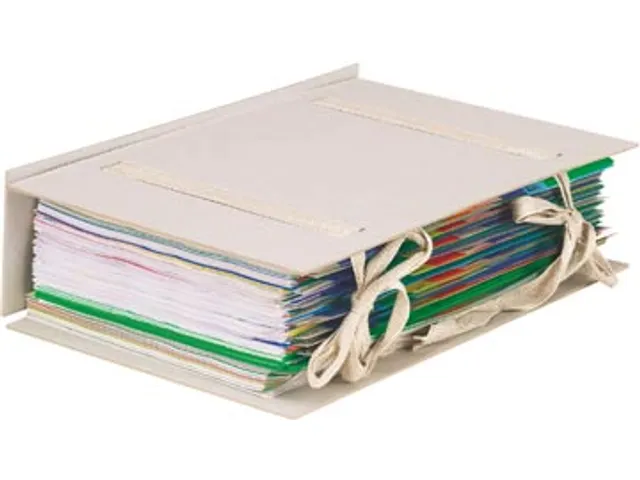 Esselte uitschuifbare map karton met 2 linten Grijs 24x35x10cm