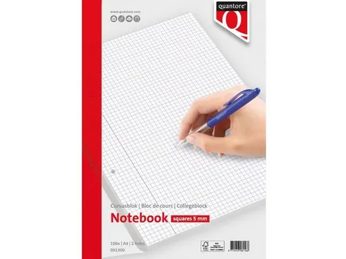 Cursusblok Quantore A4 ruit 5mm 100vel 80gram met kantlijn+