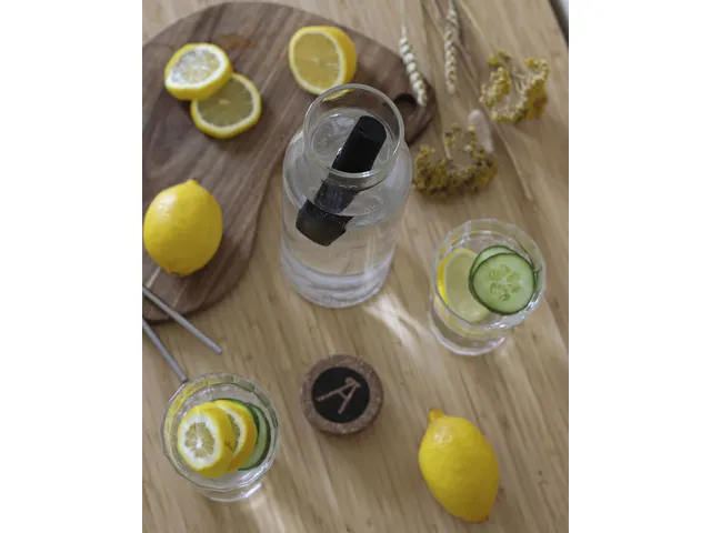 Waterfilter houtskool Les Artistes Paris set a 3 stuks Binchotan