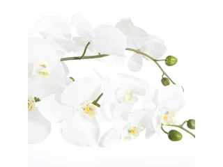 Kunstplant Mica Phalaenopsis orchidee wit in plastic pot 79x51cm - 5