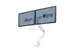 Monitorarm Fellowes Eppa voor 2 Schermen Crossbar wit