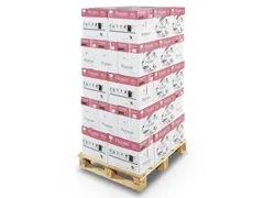 Pioneer Printpapier A4 80 Gram Pallet