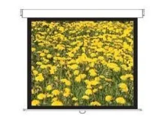 Optoma DS-3120PMG+ projectiescherm 4:3 120 Inch - 1