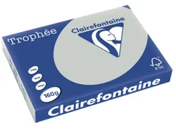 Trophée Pastel gekleurd papier A3 160 gram 250vel Lichtgrijs