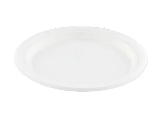 Suikerriet bord rond 23 cm wit milieuvriendelijk
