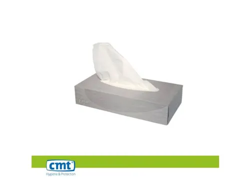 Facial Tissue Soft Eco cellulose 2-laags wit 40x100 Stuks