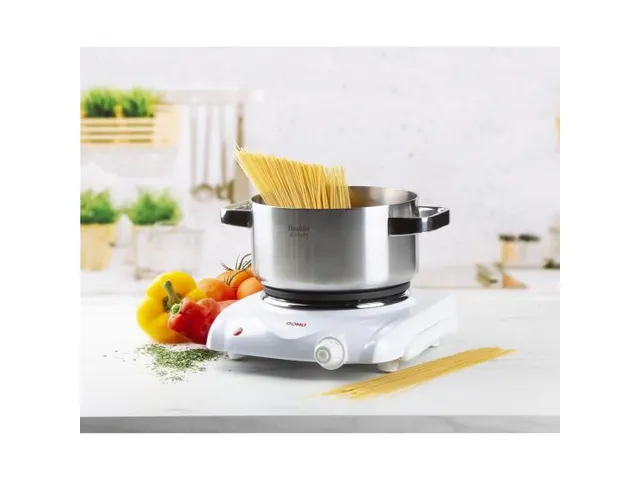 Domo Kookplaat Elektrisch 1 Pit 6 Standen 18,5 cm 1500W