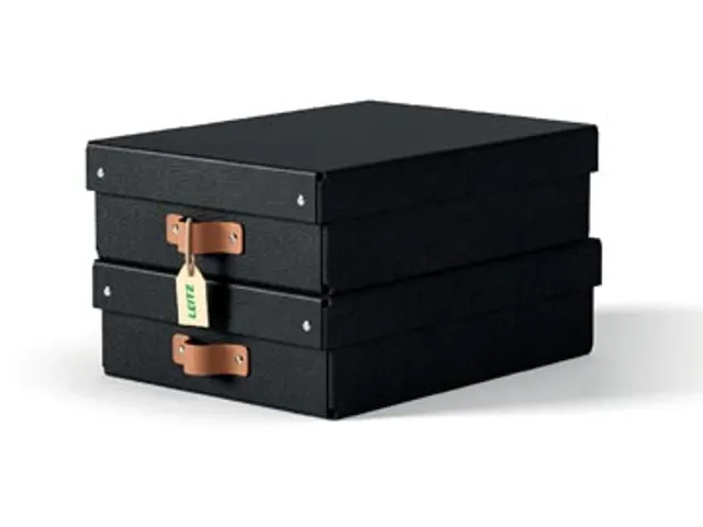 Puro opbergdoos medium laag A4 8 liter zwart 2 stuks