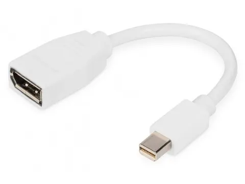 DisplayPort-adapterkabel type mini DP DP Male/Female 0,15m UHD 4K Wit
