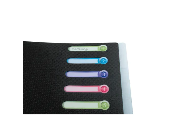 Sorteermap PP venste rs 12 vak geass.