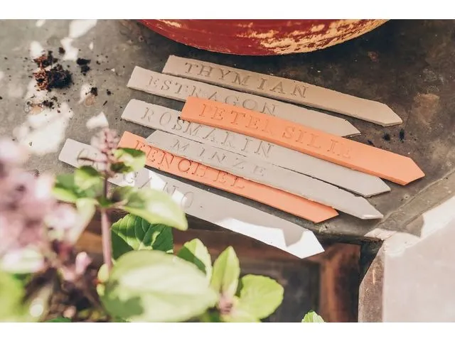 Pâte à modeler Eberhard Faber Efaplast Classic gris 1kg