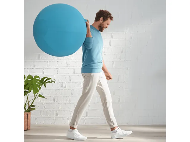 Leitz Ergo Cosy Actieve Zitbal Fluweel Sereen Blauw