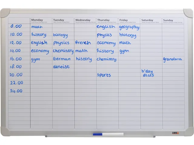 DESQ Whiteboard Weekplanner 60x90cm